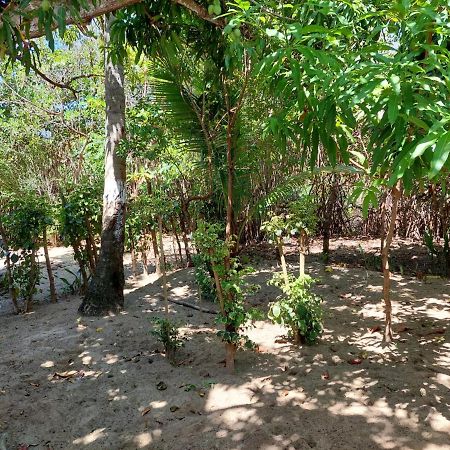 Bed and Breakfast Cabana Playa Cambiaso Puerto Plata Zewnętrze zdjęcie
