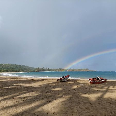 Bed and Breakfast Cabana Playa Cambiaso Puerto Plata Zewnętrze zdjęcie