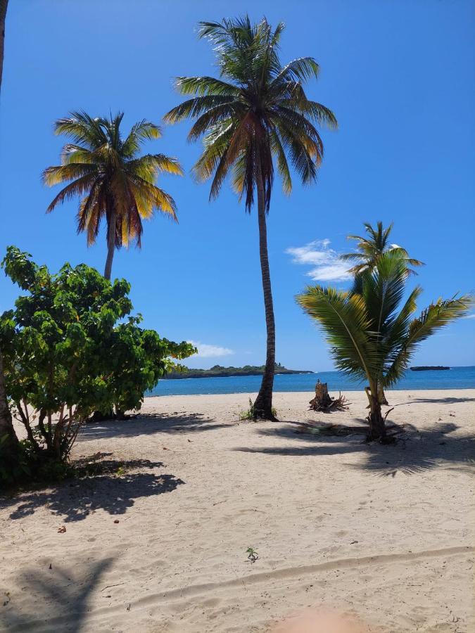 Bed and Breakfast Cabana Playa Cambiaso Puerto Plata Zewnętrze zdjęcie