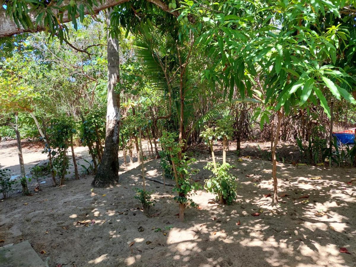 Bed and Breakfast Cabana Playa Cambiaso Puerto Plata Zewnętrze zdjęcie