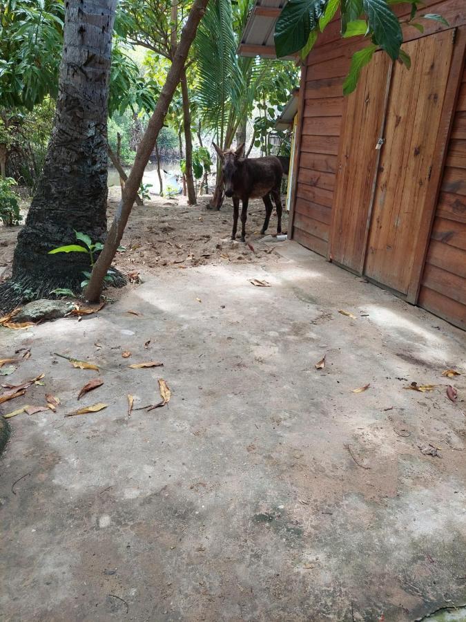 Bed and Breakfast Cabana Playa Cambiaso Puerto Plata Zewnętrze zdjęcie